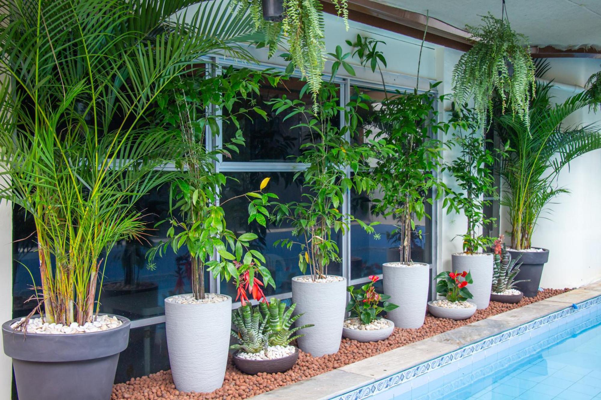 Prestige Manaus Hotel Luaran gambar